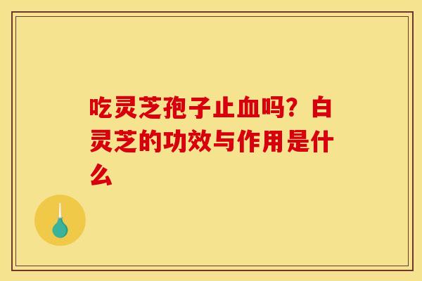 吃灵芝孢子止血吗?白灵芝的功效与作用是什么