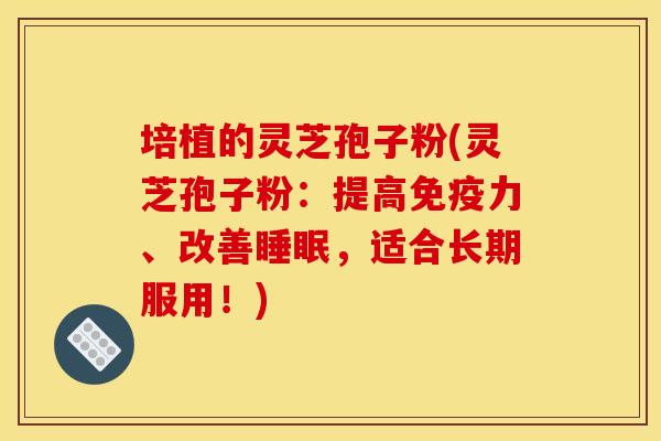 培植的灵芝孢子粉(灵芝孢子粉:提高免疫力、改善睡眠,适合长期服用!)