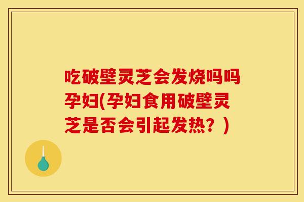 吃破壁灵芝会发烧吗吗孕妇(孕妇食用破壁灵芝是否会引起发热?)