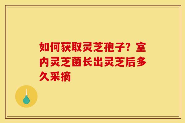 如何获取灵芝孢子？室内灵芝菌长出灵芝后多久采摘