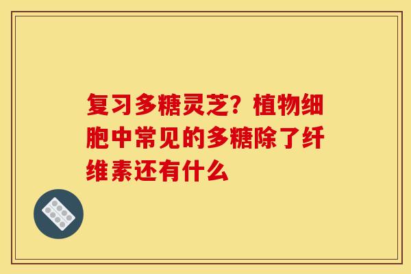 复习多糖灵芝?植物细胞中常见的多糖除了纤维素还有什么