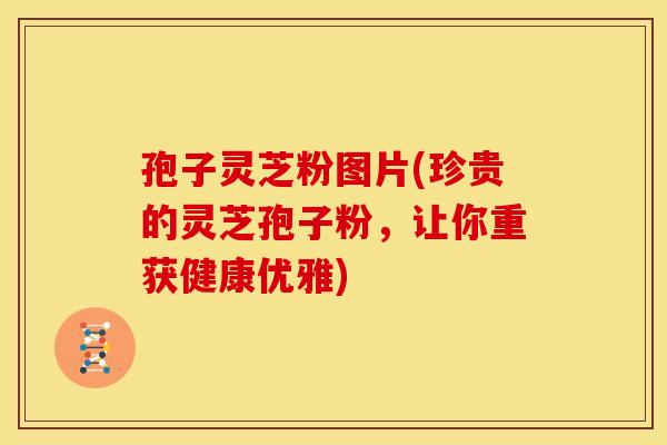 孢子灵芝粉图片(珍贵的灵芝孢子粉,让你重获健康优雅)