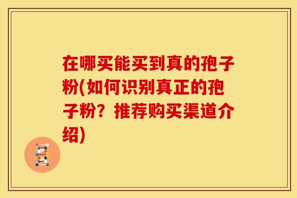 在哪买能买到真的孢子粉(如何识别真正的孢子粉?推荐购买渠道介绍)