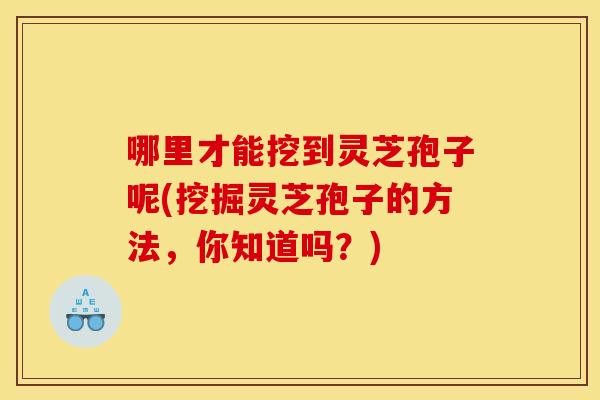 哪里才能挖到灵芝孢子呢(挖掘灵芝孢子的方法,你知道吗?)