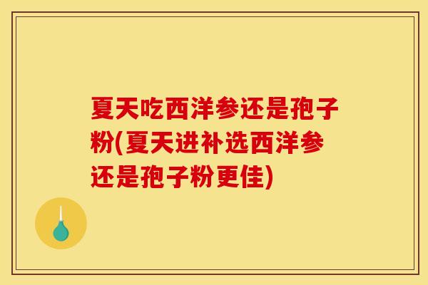 夏天吃西洋参还是孢子粉(夏天进补选西洋参还是孢子粉更佳)
