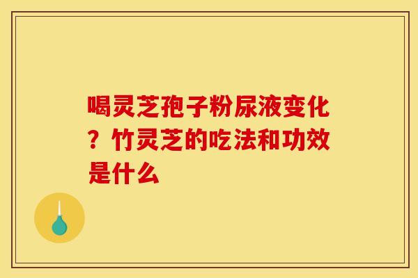喝灵芝孢子粉尿液变化?竹灵芝的吃法和功效是什么