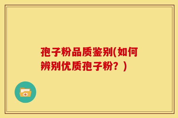 孢子粉品质鉴别(如何辨别优质孢子粉?)