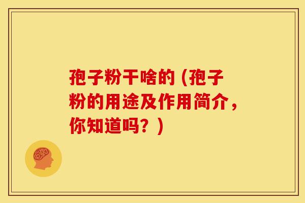 孢子粉干啥的 (孢子粉的用途及作用简介，你知道吗？)
