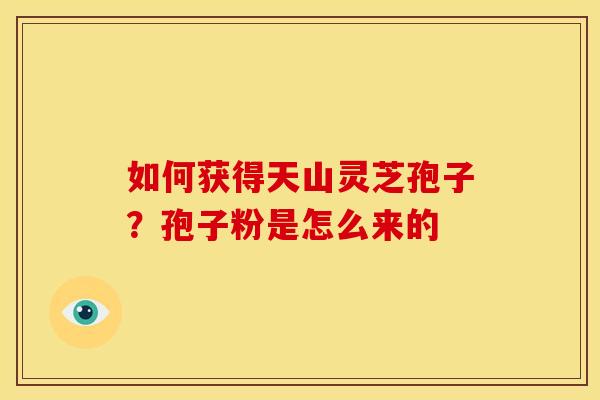 如何获得天山灵芝孢子？孢子粉是怎么来的