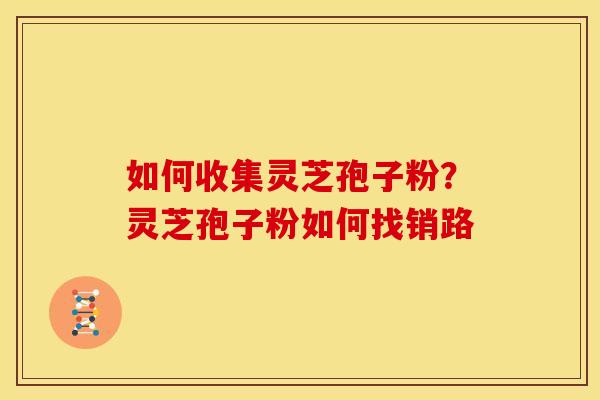 如何收集灵芝孢子粉?灵芝孢子粉如何找销路