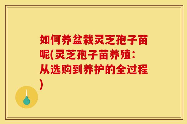 如何养盆栽灵芝孢子苗呢(灵芝孢子苗养殖:从选购到养护的全过程)
