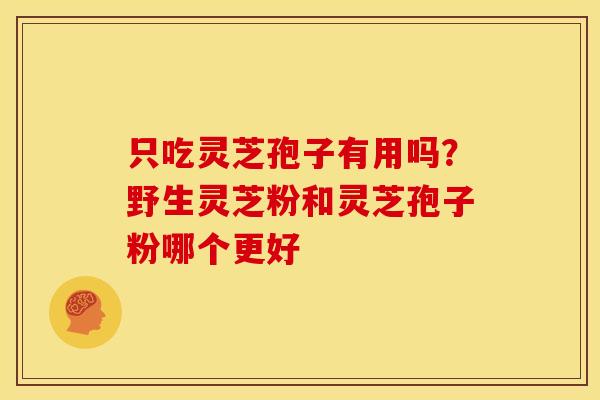 只吃灵芝孢子有用吗?野生灵芝粉和灵芝孢子粉哪个更好