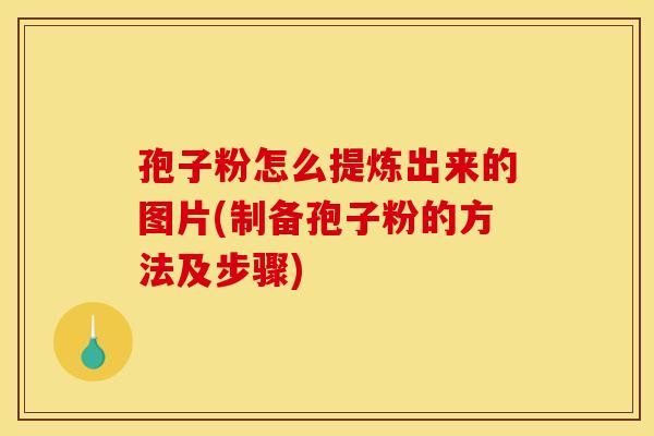 孢子粉怎么提炼出来的图片(制备孢子粉的方法及步骤)