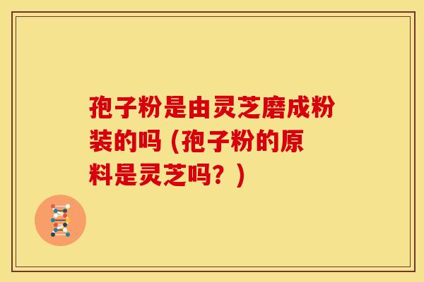 孢子粉是由灵芝磨成粉装的吗 (孢子粉的原料是灵芝吗?)