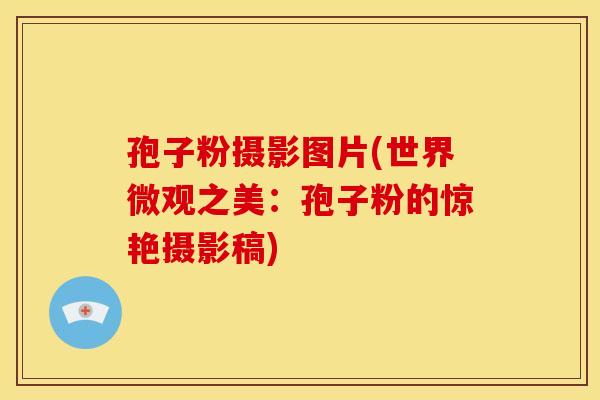 孢子粉摄影图片(世界微观之美:孢子粉的惊艳摄影稿)