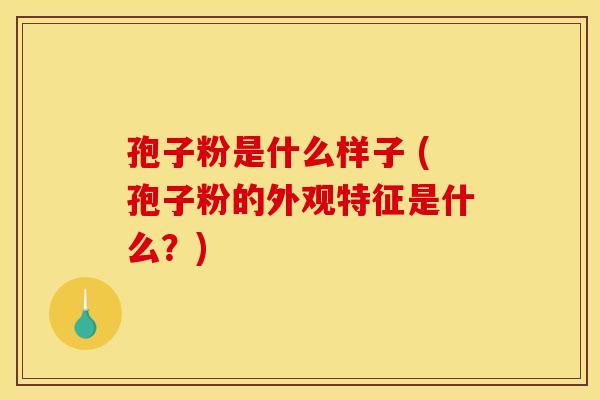 孢子粉是什么样子 (孢子粉的外观特征是什么?)