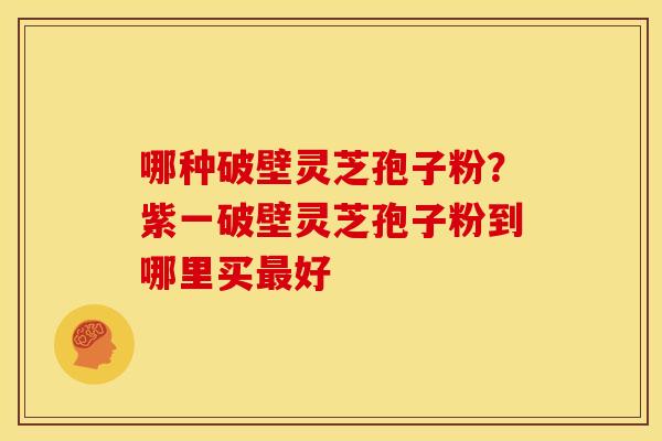 哪种破壁灵芝孢子粉？紫一破壁灵芝孢子粉到哪里买最好