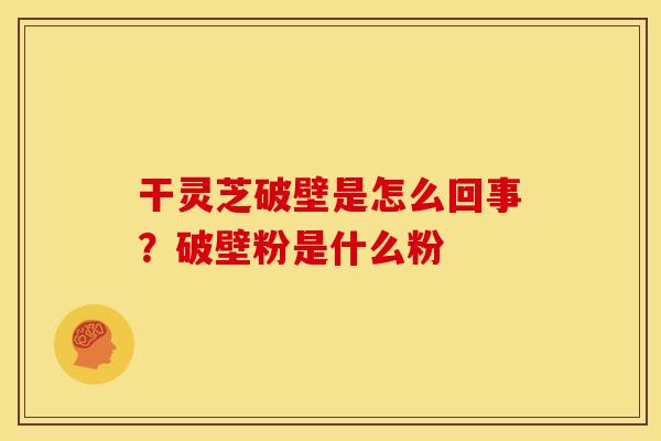 干灵芝破壁是怎么回事？破壁粉是什么粉
