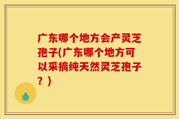 广东哪个地方会产灵芝孢子(广东哪个地方可以采摘纯天然灵芝孢子?)