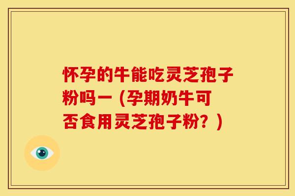 怀孕的牛能吃灵芝孢子粉吗一 (孕期奶牛可否食用灵芝孢子粉？)