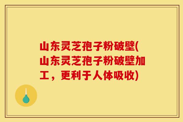 山东灵芝孢子粉破壁(山东灵芝孢子粉破壁加工,更利于人体吸收)