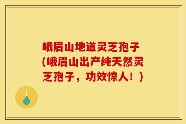 峨眉山地道灵芝孢子 (峨眉山出产纯天然灵芝孢子,功效惊人!)