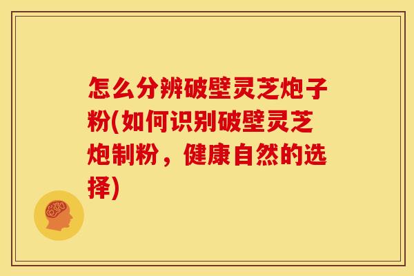 怎么分辨破壁灵芝炮子粉(如何识别破壁灵芝炮制粉,健康自然的选择)
