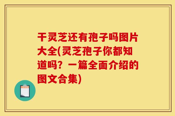干灵芝还有孢子吗图片大全(灵芝孢子你都知道吗？一篇全面介绍的图文合集)