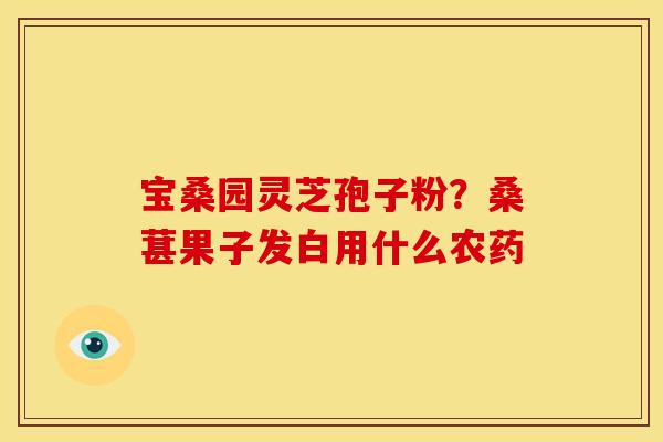 宝桑园灵芝孢子粉?桑葚果子发白用什么农药