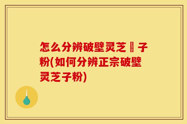 怎么分辨破壁灵芝砲子粉(如何分辨正宗破壁灵芝子粉)