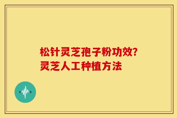 松针灵芝孢子粉功效?灵芝人工种植方法
