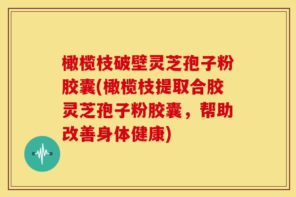 橄榄枝破壁灵芝孢子粉胶囊(橄榄枝提取合胶灵芝孢子粉胶囊,帮助改善身体健康)