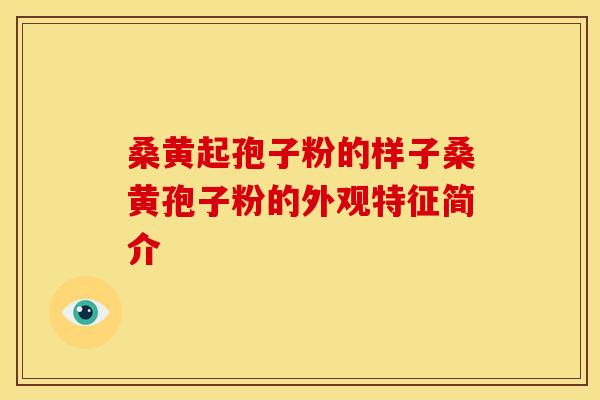 桑黄起孢子粉的样子桑黄孢子粉的外观特征简介