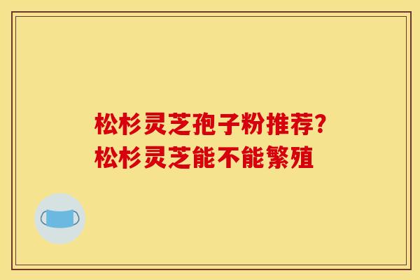 松杉灵芝孢子粉推荐?松杉灵芝能不能繁殖