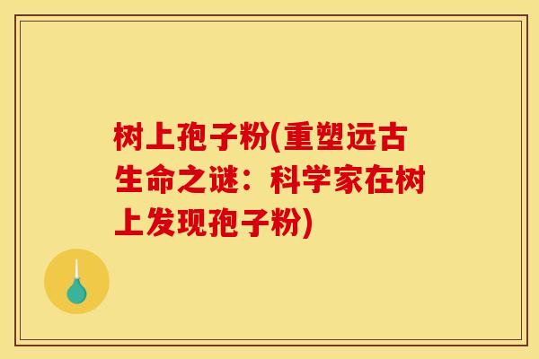 树上孢子粉(重塑远古生命之谜:科学家在树上发现孢子粉)