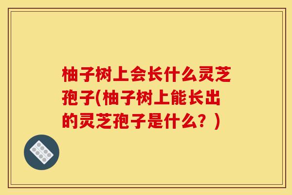 柚子树上会长什么灵芝孢子(柚子树上能长出的灵芝孢子是什么？)