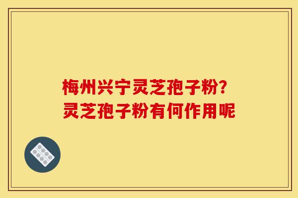 梅州兴宁灵芝孢子粉?灵芝孢子粉有何作用呢