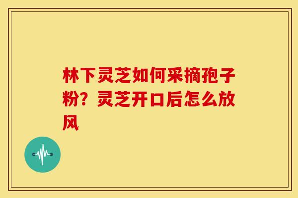 林下灵芝如何采摘孢子粉?灵芝开口后怎么放风