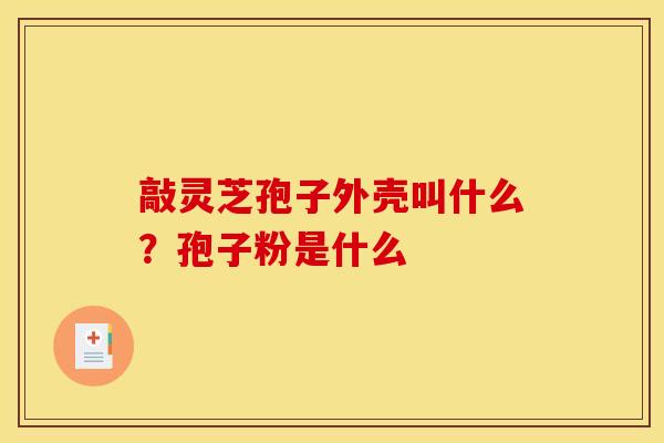敲灵芝孢子外壳叫什么?孢子粉是什么