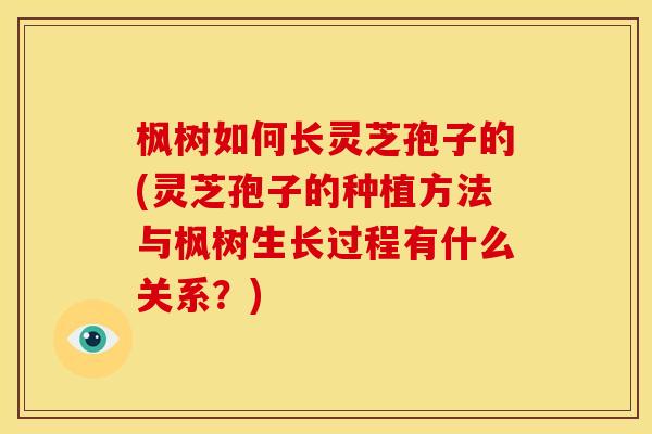 枫树如何长灵芝孢子的(灵芝孢子的种植方法与枫树生长过程有什么关系?)