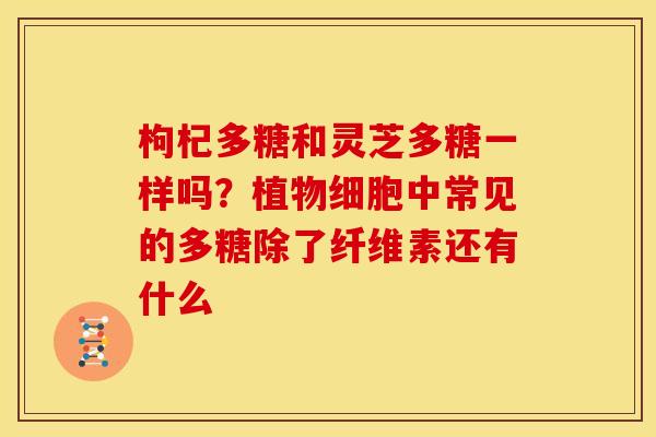 枸杞多糖和灵芝多糖一样吗?植物细胞中常见的多糖除了纤维素还有什么