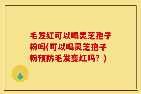 毛发红可以喝灵芝孢子粉吗(可以喝灵芝孢子粉预防毛发变红吗?)
