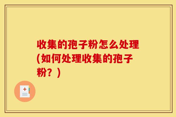 收集的孢子粉怎么处理(如何处理收集的孢子粉?)
