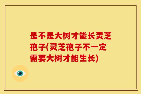 是不是大树才能长灵芝孢子(灵芝孢子不一定需要大树才能生长)