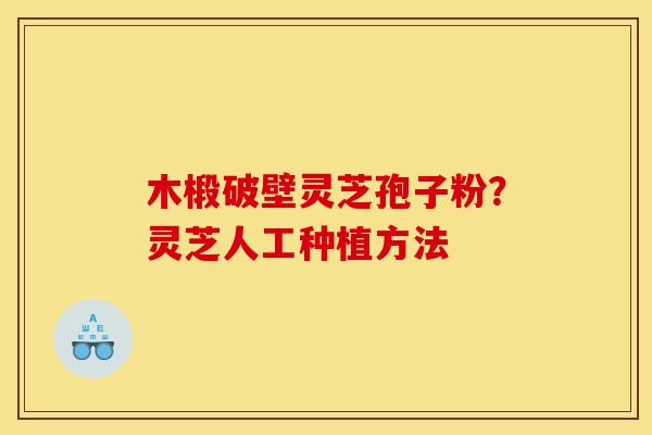 木椴破壁灵芝孢子粉?灵芝人工种植方法