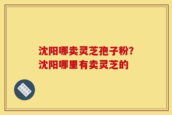 沈阳哪卖灵芝孢子粉?沈阳哪里有卖灵芝的