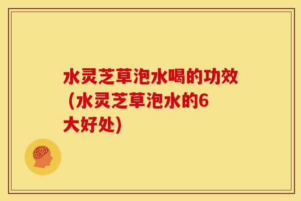 水灵芝草泡水喝的功效 (水灵芝草泡水的6大好处)