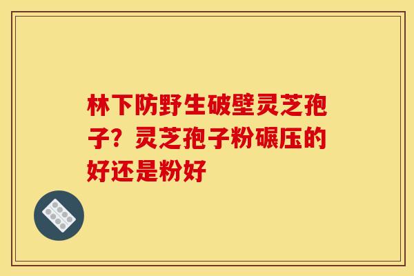 林下防野生破壁灵芝孢子?灵芝孢子粉碾压的好还是粉好