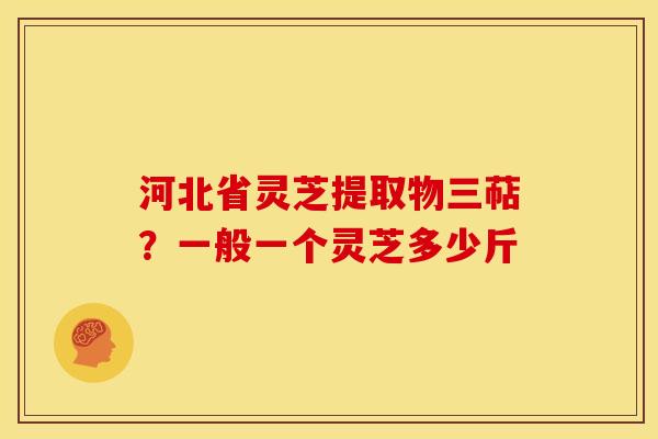河北省灵芝提取物三萜？一般一个灵芝多少斤