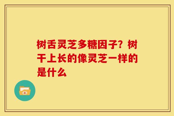 树舌灵芝多糖因子?树干上长的像灵芝一样的是什么